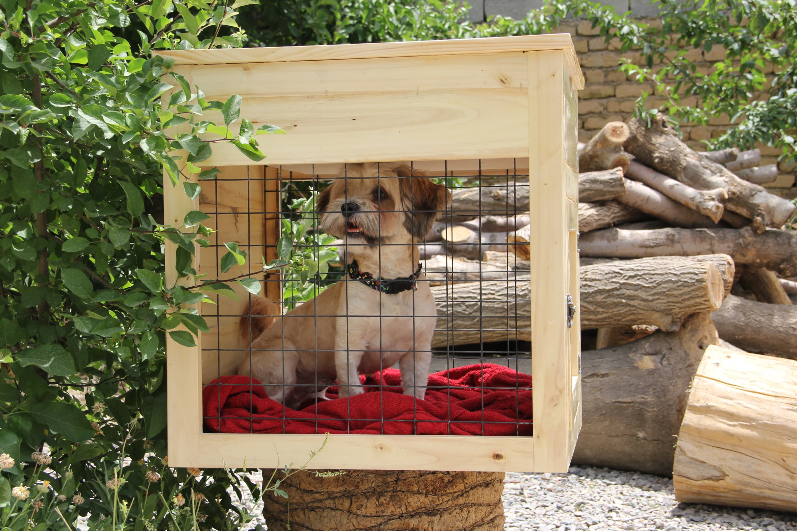 Dog Nest